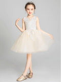 Champagne Tulle Lace Short Flower Girl Dress